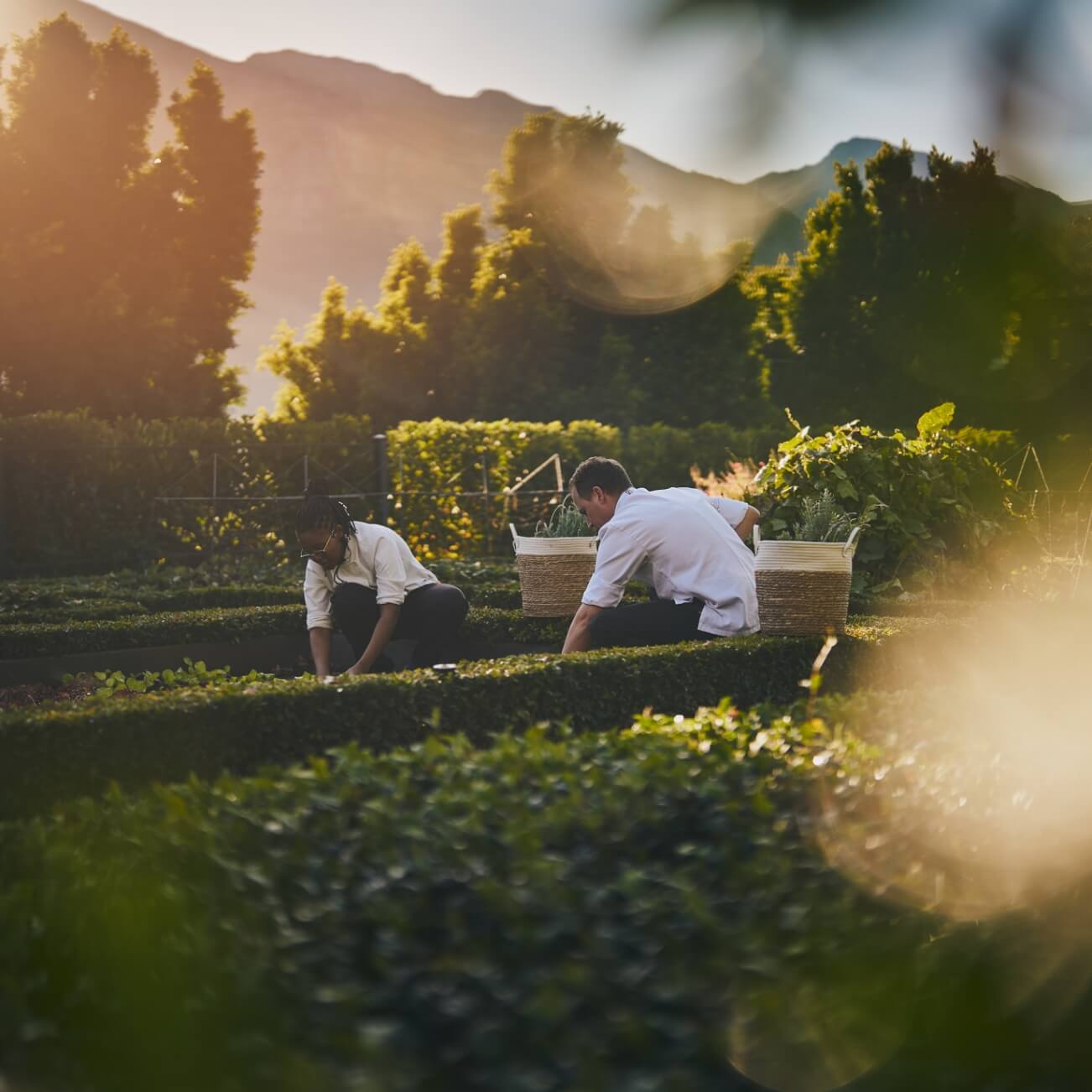 Leeu Collection South Africa Experiences Garden Experiences